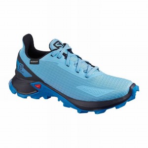 Salomon ALPHACROSS BLAST CLIMASALOMON WATERPROOF Azules Azul Marino | 2650EUCIS