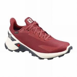 Salomon ALPHACROSS BLAST GTX W Rojas | 5674ZJQLF