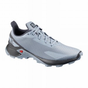 Salomon ALPHACROSS BLAST Gris Azules Gris Azules | 4082HXIJM