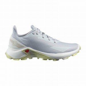 Salomon ALPHACROSS BLAST Gris Blancas | 1369YSNDU