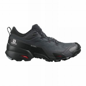 Salomon CROSS HIKE GORE-TEX Gris Oscuro Negras | 9201IPMLQ