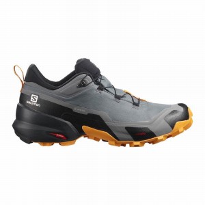 Salomon CROSS HIKE GORE-TEX Negras | 4689VOAMX