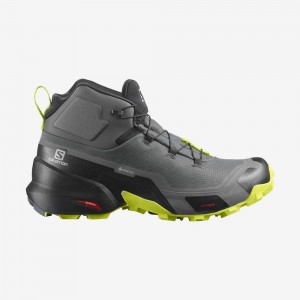 Salomon CROSS HIKE MID GORE-TEX Gris | 9647PARIE