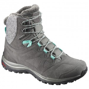 Salomon ELLIPSE GTX Gris Oscuro | 6741ALEQH