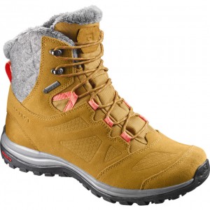 Salomon ELLIPSE GTX Marrones | 1642HEMZJ