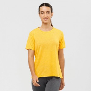 Salomon ESSENTIAL TENCEL Amarillo | 4086LNHOU