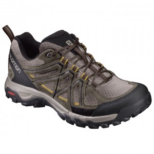 Salomon EVASION 2 AERO Marrones Negras | 1534VPYBK