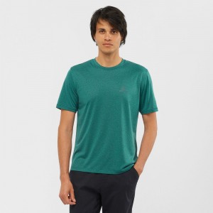 Salomon EXPLORE M Corta Sleeve Verde | 4035AMBGS