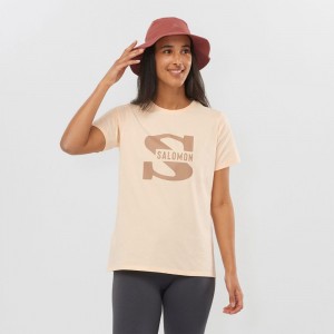 Salomon OUTLIFE BIG LOGO Corta Sleeve Beige | 7203XUIEW