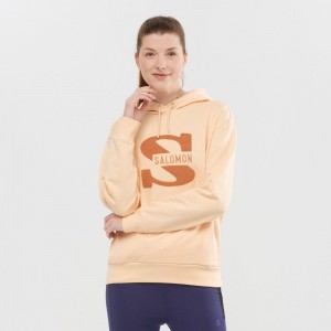 Salomon OUTLIFE LOGO SUMMER Encapuchado Beige | 5691UCYHF