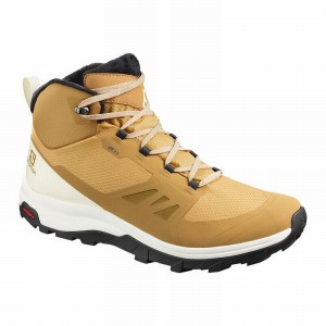 Salomon OUTSNAP CLIMASALOMON WATERPROOF Marrones Negras | 7834NTHOP