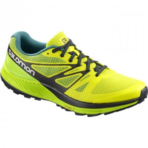 Salomon SENSE ESE Amarillo Verde | 3816VHFNS