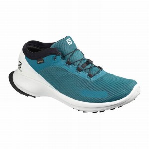 Salomon SENSE FEEL GTX Azules | 1429VOLIG