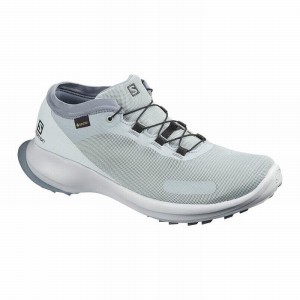 Salomon SENSE FEEL GTX Gris | 3421NORAL