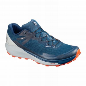 Salomon SENSE RIDE 3 GTX INVIS. FIT Azul Marino | 9326NLVTA