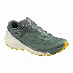 Salomon SENSE RIDE 3 Verde Oliva | 9304NOWSM