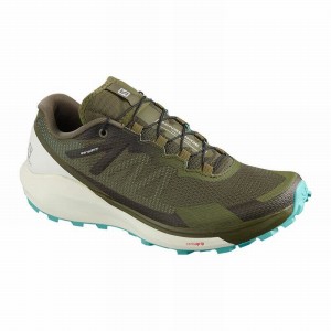 Salomon SENSE RIDE 3 W Verde Oliva | 3427OFEXZ