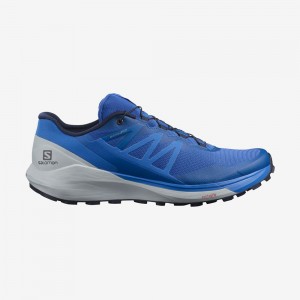 Salomon SENSE RIDE 4 Azules | 4205ZWRQU