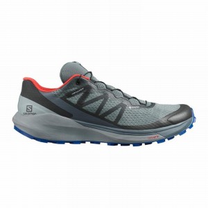 Salomon SENSE RIDE 4 GORE-TEX INVISIBLE FIT Azules Oscuro Negras | 8046YTXHR