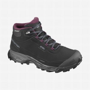 Salomon SHELTER SPIKES CLIMASALOMON WATERPROOF Negras | 5819DTREU