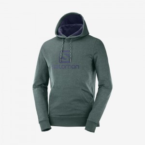 Salomon SHIFT HOODIE M Verde | 8073ZNMQJ