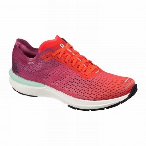 Salomon SONIC 3 ACCELERATE Rosas Blancas | 9637LCNSI