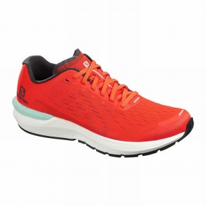 Salomon SONIC 3 BALANCE Rojas | 3607LRECG