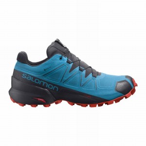 Salomon SPEEDCROSS 5 GORE-TEX Azules Negras | 2396NVQXC