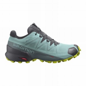 Salomon SPEEDCROSS 5 GORE-TEX Turquesa Gris Oscuro | 5109QWZYT