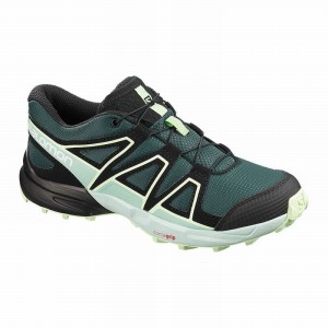 Salomon SPEEDCROSS Verde Negras | 7610QCAEH