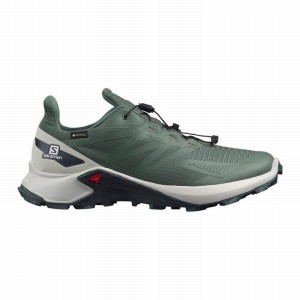 Salomon SUPERCROSS BLAST GTX Verde | 9520CZDSR