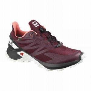 Salomon SUPERCROSS BLAST GTX W Burdeos Negras | 3402DZLVE