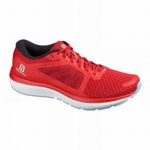 Salomon VECTUR Rojas | 7031OEPVQ