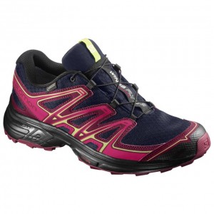 Salomon WINGS FLYTE 2 GTX W Rosas Azul Marino | 7451UDRJM