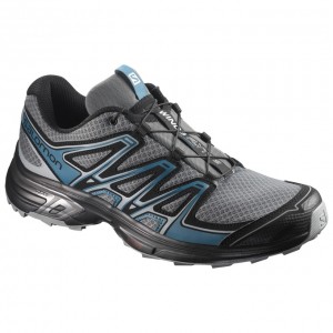 Salomon WINGS FLYTE 2 Plateadas Negras | 0214KDANI