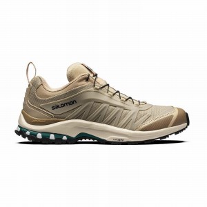 Salomon XA-PRO FUSION ADVANCED Marrones | 7026BWGKZ