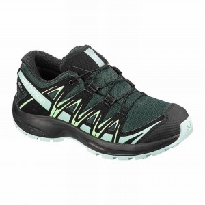 Salomon XA PRO 3D CLIMASALOMON WATERPROOF Verde Negras | 0781WKMXR