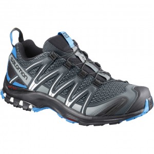 Salomon XA PRO 3D Plateadas Negras | 4271FGNIL