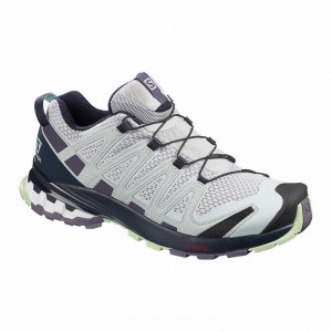 Salomon XA PRO 3D V8 Azules Moradas | 9170DWSTN