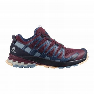 Salomon XA PRO 3D V8 Burdeos Azules | 4903RPXJU