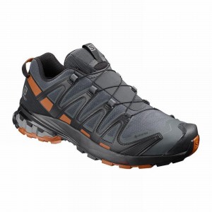 Salomon XA PRO 3D V8 GORE-TEX Azules Oscuro Negras | 9625OGXDP