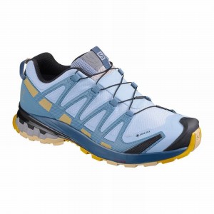 Salomon XA PRO 3D V8 GORE-TEX Azules | 9153HMJOB