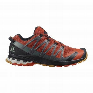 Salomon XA PRO 3D V8 Negras | 5342NHGLB