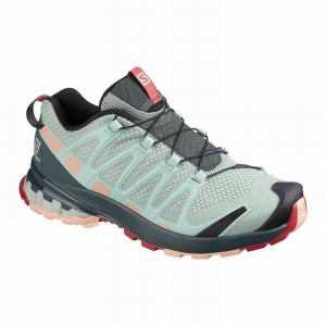 Salomon XA PRO 3D V8 Turquesa Claro Gris | 9138MNJCO