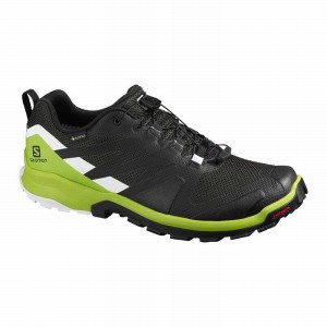 Salomon XA ROGG GTX Rosas | 2034FVTPC