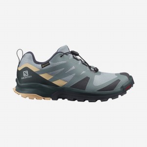 Salomon XA ROGG GTX W Verde Creme | 0963UGLEY