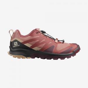 Salomon XA ROGG Multicolor | 2645DLYJC