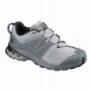 Salomon XA WILD GORE-TEX Gris | 9867BOHZC