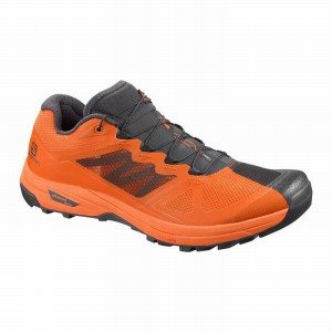 Salomon X ALPINE /PRO Gris Oscuro Naranjas | 4876YIJZD