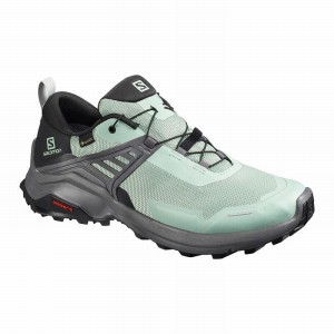 Salomon X RAISE GORE-TEX Verde Negras | 2163FNVPD